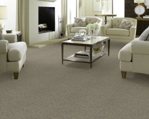 carpet in living room